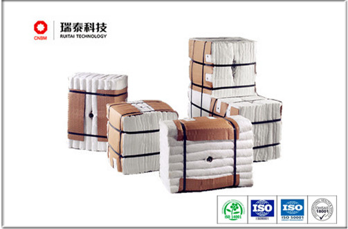 Ceramic Fiber Module